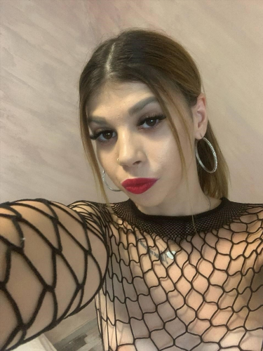Free sierra_halle