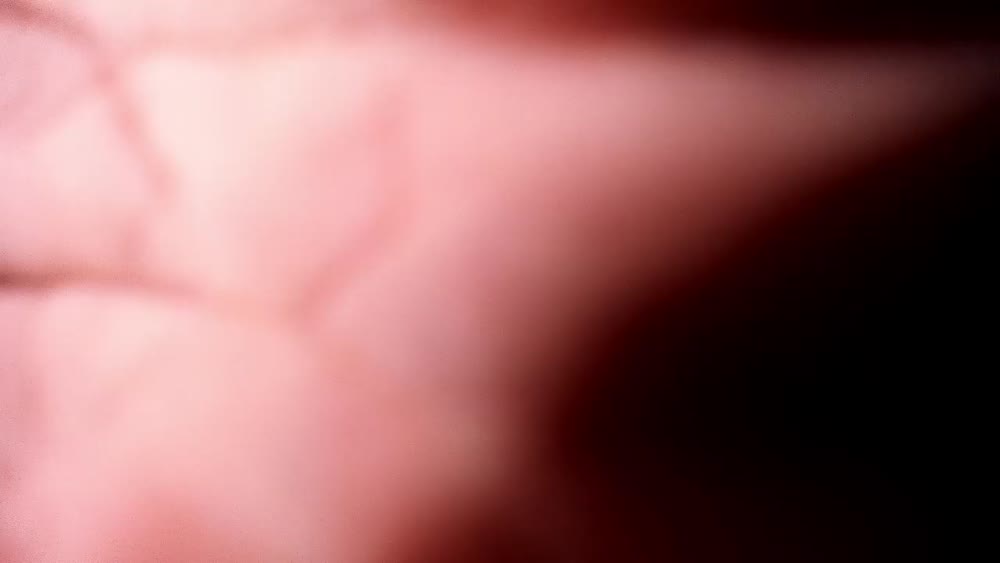 2025-05-12 20:55:04