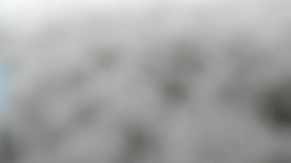 2025-06-25 17:44:40